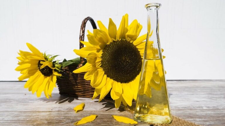 Sonnenblumenöl Knappheit: Was sind die Gründe und wo kann man Speiseöl kaufen? Sonnenblumenöl Knappheit: Was sind die Gründe und wo kann man Speiseöl kaufen?